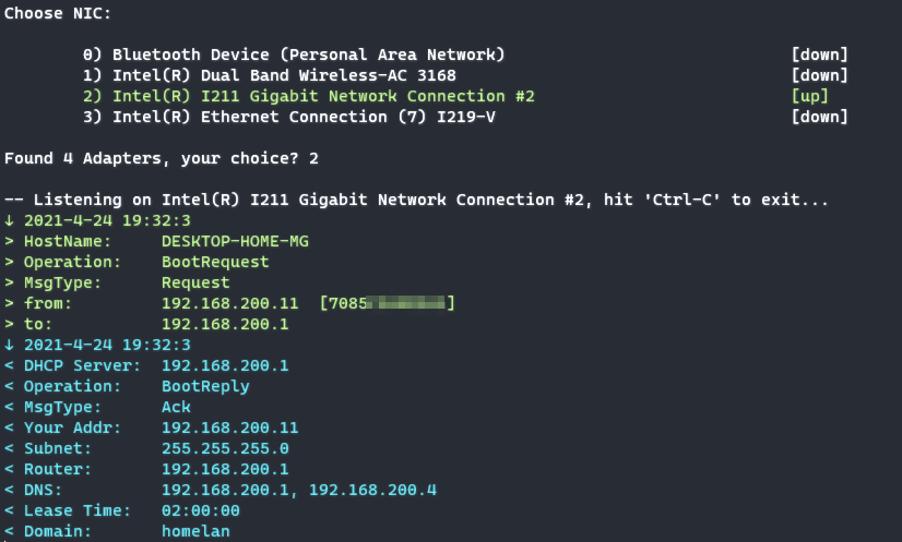 Windows DHCL CLI Info Tool